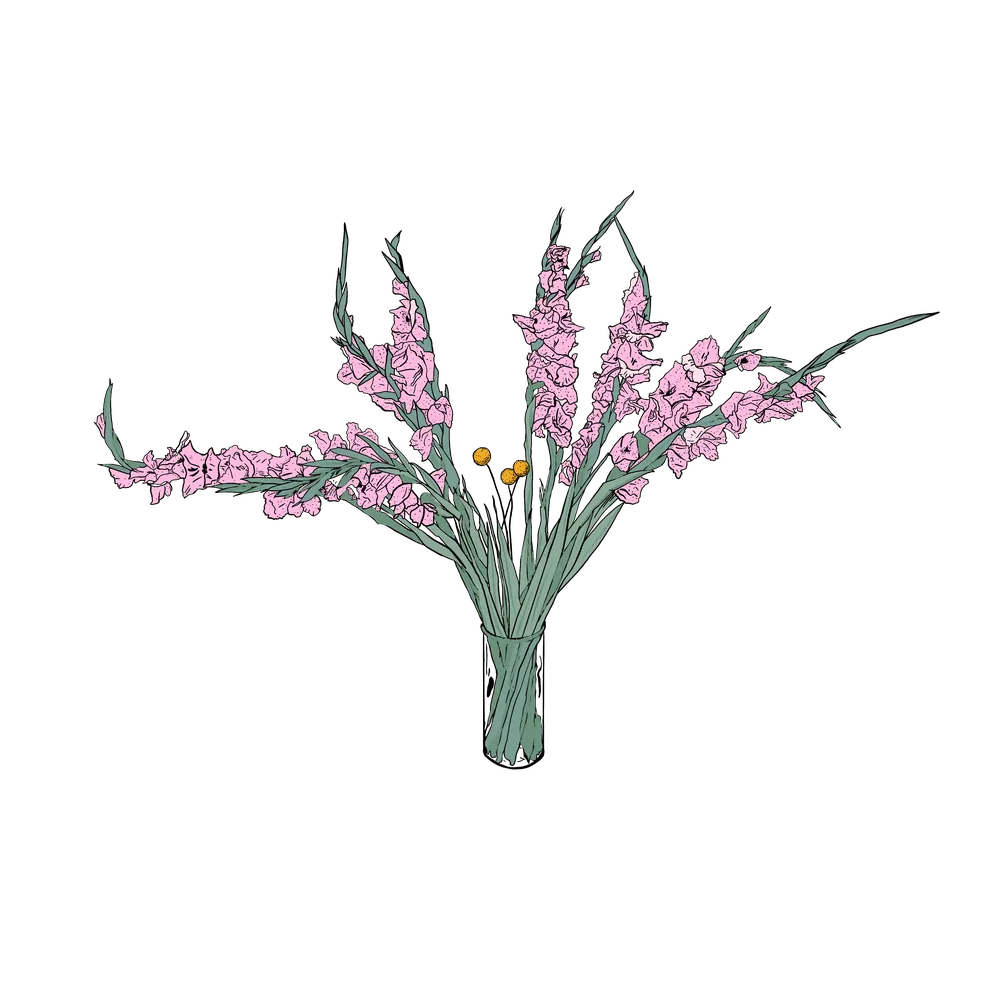 Flower illustration